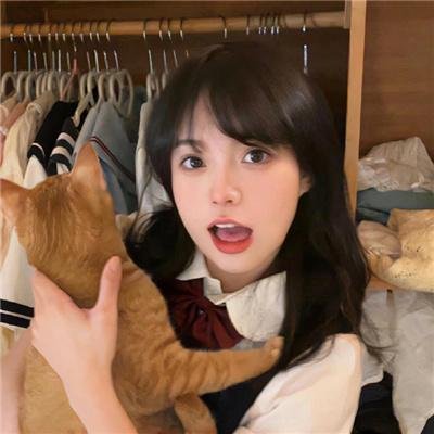 灵狐